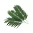 Kép 3/4 - EUROPALMS Coconut palm branch, artificial, 90cm 12x