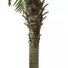 Kép 2/5 - EUROPALMS Phoenix palm tree luxor, artificial plant, 210cm