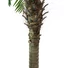 Kép 2/5 - EUROPALMS Phoenix palm tree luxor, artificial plant, 210cm