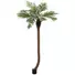 Kép 1/4 - EUROPALMS Phoenix palm tree luxor curved, artificial plant, 240cm