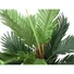 Kép 2/4 - EUROPALMS Kentia palm tree, artificial plant, 120cm