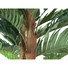 Kép 3/4 - EUROPALMS Kentia palm tree, artificial plant, 120cm