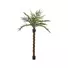 Kép 1/4 - EUROPALMS Kentia  palm tree deluxe, artificial plant, 300cm