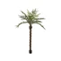 Kép 1/4 - EUROPALMS Kentia  palm tree deluxe, artificial plant, 300cm