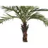 Kép 2/4 - EUROPALMS Kentia  palm tree deluxe, artificial plant, 300cm