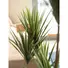 Kép 4/5 - EUROPALMS Yucca palm, artificial plant, 130cm