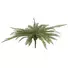 Kép 1/3 - EUROPALMS Boston fern, artificial plant, green, 70cm