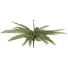 Kép 2/3 - EUROPALMS Boston fern, artificial plant, green, 70cm