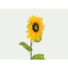 Kép 3/5 - EUROPALMS Sunflower, artificial plant, 70cm