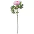 Kép 1/5 - EUROPALMS Peony Branch classic, artificial plant, pink, 80cm