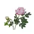 Kép 2/2 - EUROPALMS Peony Branch premium, artificial plant, pink, 100cm