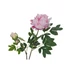 Kép 2/2 - EUROPALMS Peony Branch premium, artificial plant, pink, 100cm