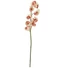 Kép 1/5 - EUROPALMS Cymbidium branch, artificial, creme-pink, 90cm