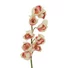 Kép 2/5 - EUROPALMS Cymbidium branch, artificial, creme-pink, 90cm