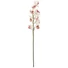 Kép 1/5 - EUROPALMS Cymbidium branch, artificial, white-pink, 90cm