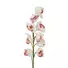 Kép 2/5 - EUROPALMS Cymbidium branch, artificial, white-pink, 90cm