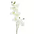 Kép 2/4 - EUROPALMS Orchid branch, artificial, cream-white, 100cm