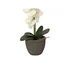 Kép 4/5 - EUROPALMS Orchid, artificial plant, cream, 80cm