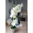 Kép 5/5 - EUROPALMS Orchid, artificial plant, cream, 80cm