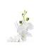 Kép 2/5 - EUROPALMS Orchid, artificial plant, white, 80cm