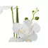 Kép 3/5 - EUROPALMS Orchid, artificial plant, white, 80cm