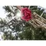 Kép 5/5 - EUROPALMS Rose Garland (EVA), artificial, red