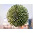 Kép 5/5 - EUROPALMS Succulent Ball (EVA), artificial plant, green, 20cm