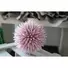 Kép 2/5 - EUROPALMS Succulent Ball (EVA),artificial plant, pink, 20cm