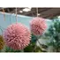 Kép 5/5 - EUROPALMS Succulent Ball (EVA),artificial plant, pink, 20cm