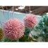 Kép 5/5 - EUROPALMS Succulent Ball (EVA),artificial plant, pink, 20cm