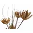 Kép 2/5 - EUROPALMS Artichoke Branch (EVA), artificial, beige, 100cm