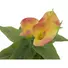 Kép 2/5 - EUROPALMS Mini Calla, artificial plant, yellow-orange, 43cm