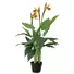 Kép 1/5 - EUROPALMS Bird-of-paradise flower, artificial plant, 90cm