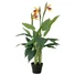 Kép 1/5 - EUROPALMS Bird-of-paradise flower, artificial plant, 90cm