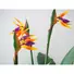 Kép 3/5 - EUROPALMS Bird-of-paradise flower, artificial plant, 90cm