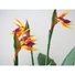 Kép 3/5 - EUROPALMS Bird-of-paradise flower, artificial plant, 90cm