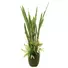 Kép 1/3 - EUROPALMS Succulent-Mix, artificial plant, 190cm