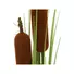 Kép 3/5 - EUROPALMS Bulrush, alrtificial plant, 150cm