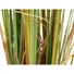 Kép 5/5 - EUROPALMS Bulrush, alrtificial plant, 150cm