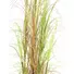 Kép 2/4 - EUROPALMS Grass bush, artificial, 150cm