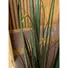 Kép 5/5 - EUROPALMS Willow branch grass, artificial, 183cm