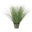 Kép 1/3 - EUROPALMS Ornamental grass, artificial, 65cm