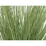 Kép 2/3 - EUROPALMS Ornamental grass, artificial, 65cm