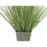 Kép 2/5 - EUROPALMS Ornamental blooming grass, artificial, 70cm