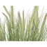 Kép 3/5 - EUROPALMS Ornamental blooming grass, artificial, 70cm