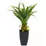 Kép 1/5 - EUROPALMS Agave plant with pot, artificial plant, 75cm