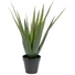 Kép 1/5 - EUROPALMS Aloe vera plant, artificial plant, 60cm