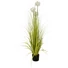 Kép 1/5 - EUROPALMS Allium grass, artificial plant, white, 120 cm