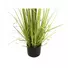 Kép 4/5 - EUROPALMS Evergreen shrub with grass, artificial plant, 120cm