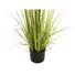 Kép 4/5 - EUROPALMS Evergreen shrub with grass, artificial plant, 120cm